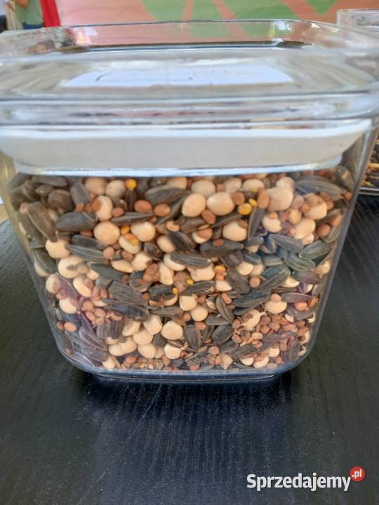 Mieszanka międzyplonowa Top Vita Plon Węglówka sprzedam