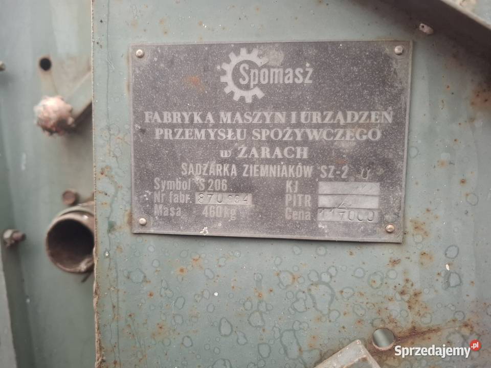 Sadzarka pasowa do ziemniaków dwurzędowa sprzedam