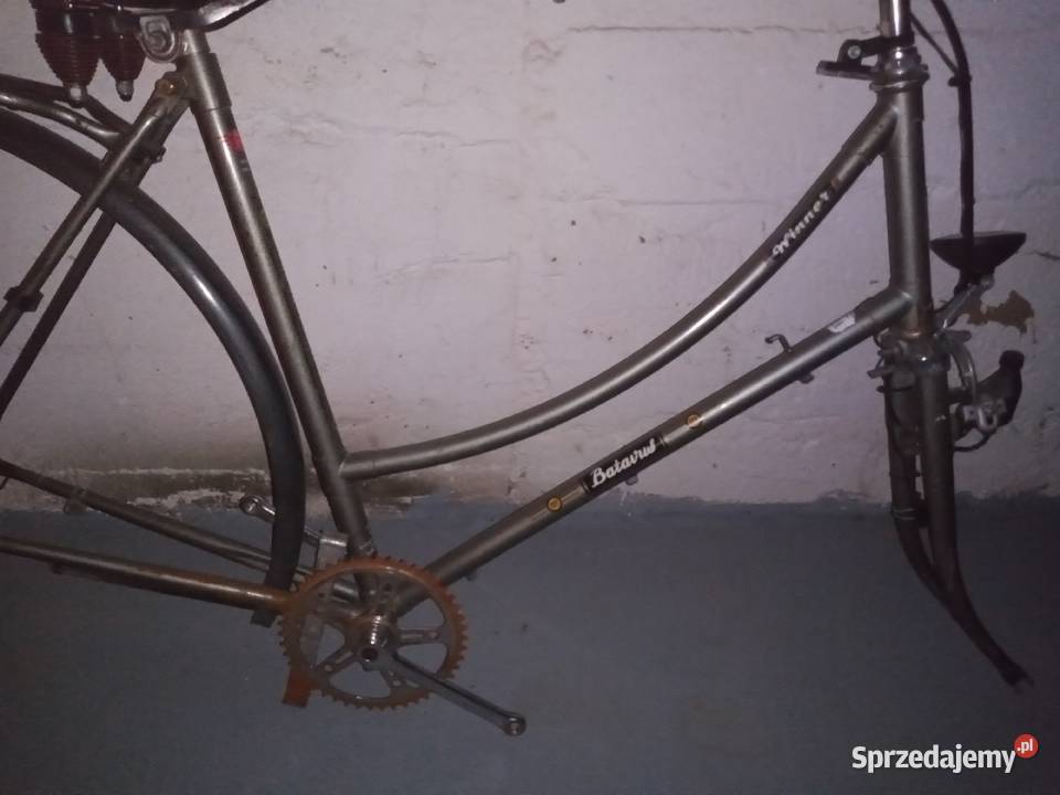 rama damska holenderka batavus oryginał Miejskie Włocławek