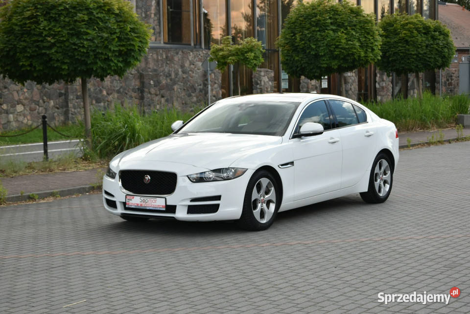 Jaguar XE 25T 20T 250 2018r Skóra Panorama I centralny zamek Kampinos