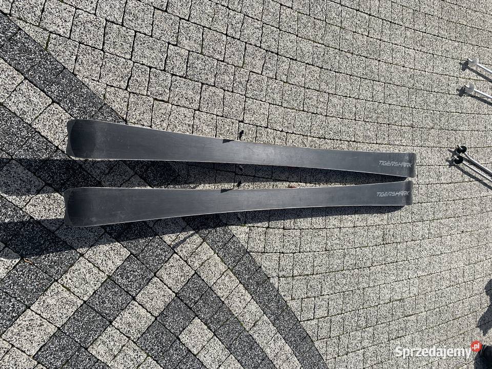 Volkl TigerSharks 160 Narty łódzkie Łódź