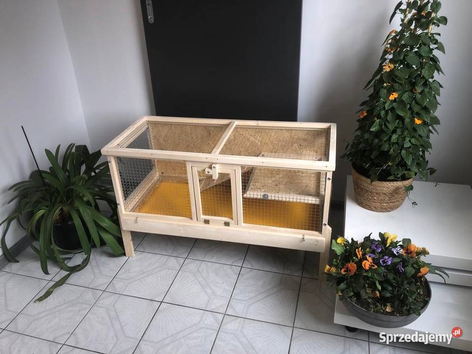Klatka drewniana zagroda królika świnki morskiej Myszków