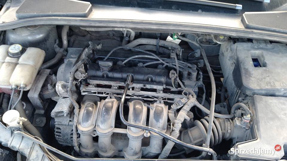 ford focus 2016r lift 16 16v nieuszkodzony Szczecin