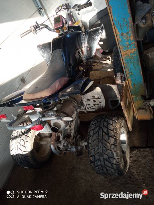 Bashan 250ccm Jabłonka