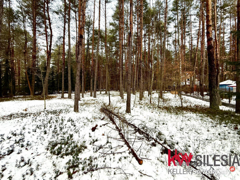 Grunt Masłońskie 3866m2