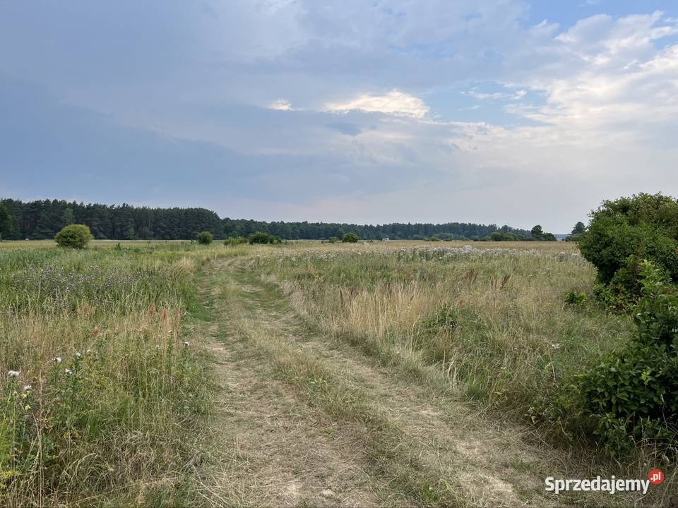 Sprzedam łąkę Liwcem w Jarnicach 10385m2 Jarnice