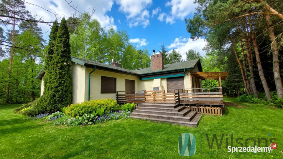 Sprzedaż działki Wiązowna 9130m2