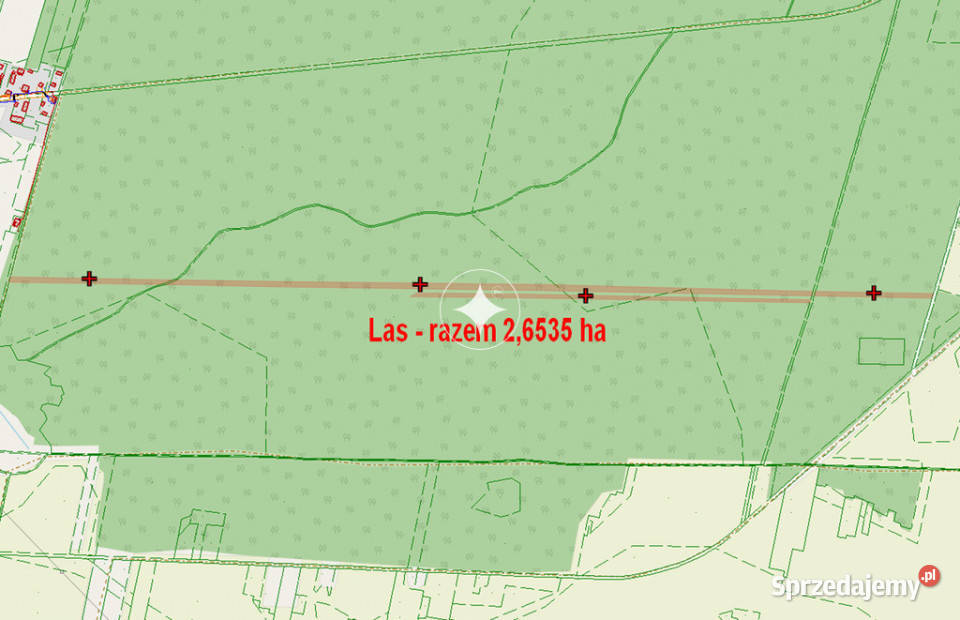 Łąka i las w Cieleśnicy
