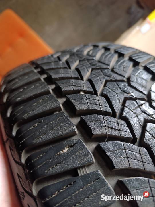 Opony zimowe Dębica frigo 2