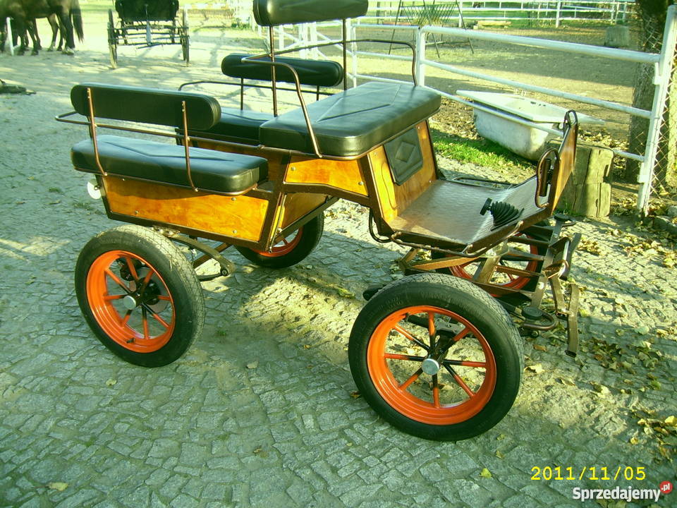 bryczka konna powóz konny wagonetta producent do wielkopolskie Leszno sprzedam
