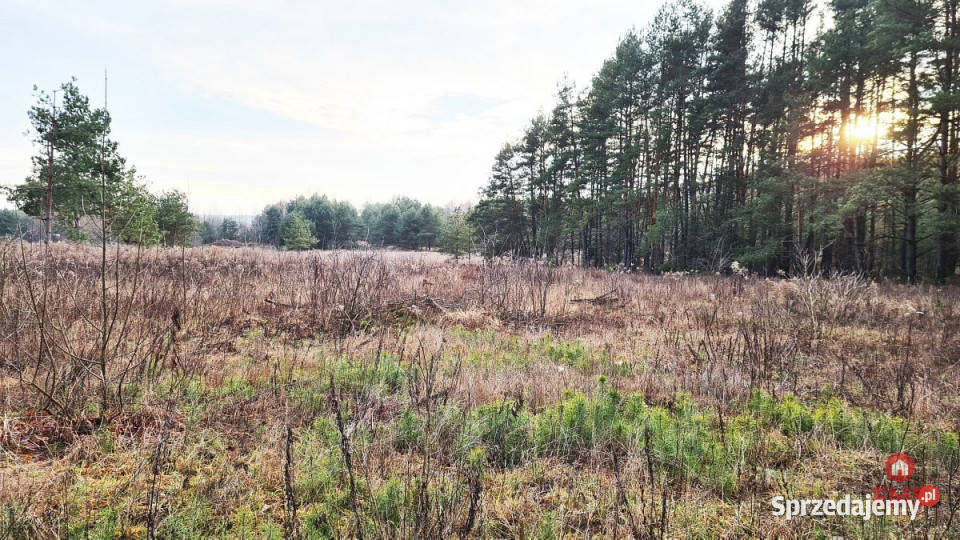 Grunt Jurowce 8476m2 szambo