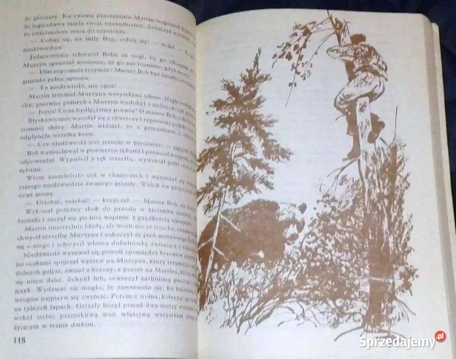 Syn Łowcy Niedźwiedzi Karol May miękka lubelskie Chełm