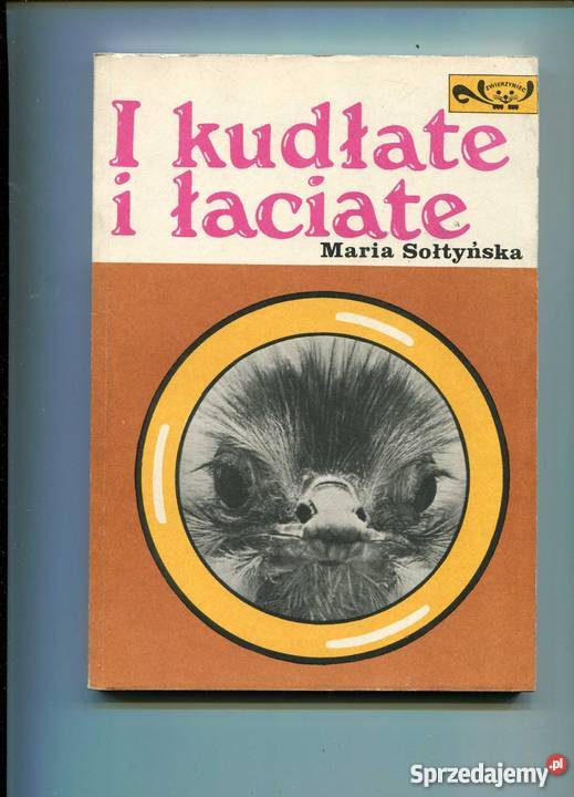 I kudłate i łaciate zachodniopomorskie Szczecin sprzedam