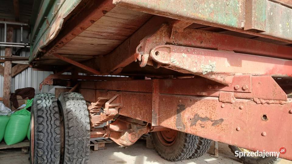 Przyczepa Tandem 5t nieuszkodzony Ubieszyn
