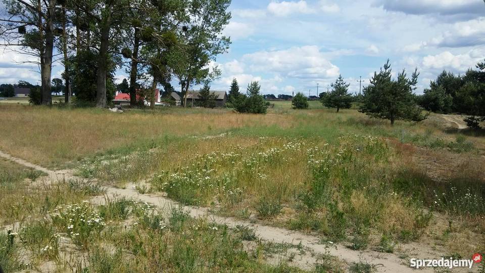 sprzedam działkę w malowniczej wsi warunki polna kujawsko-pomorskie Krąplewice
