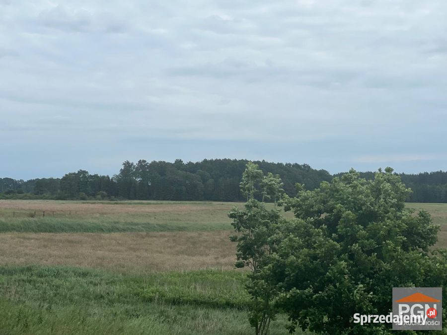 Działka Ościęcin 27400m2 rolna zachodniopomorskie