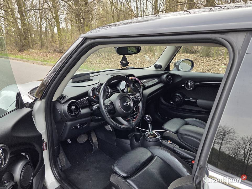 Mini Cooper S 20 192 Harman HeadUp Łopatki ABS śląskie