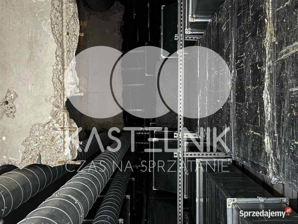 Sprzątanie gołębiach Gostyń Kastelnik mycie