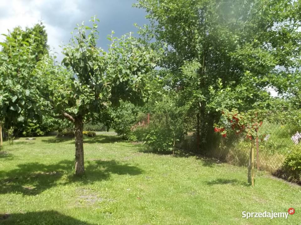 Ładna działka ROD Jeziorem Nieruchomości Szczecin