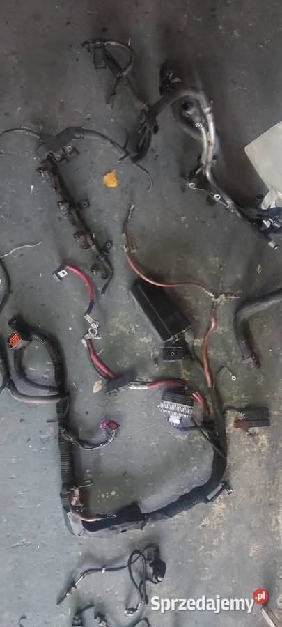 Opel 19 CDTI Skrzynia biegów katalizator DPF Gniezno