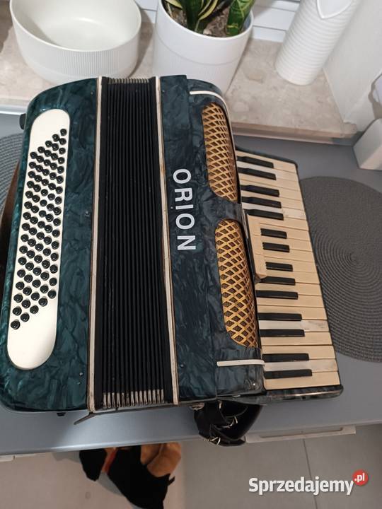 Akordeon Ropczyce