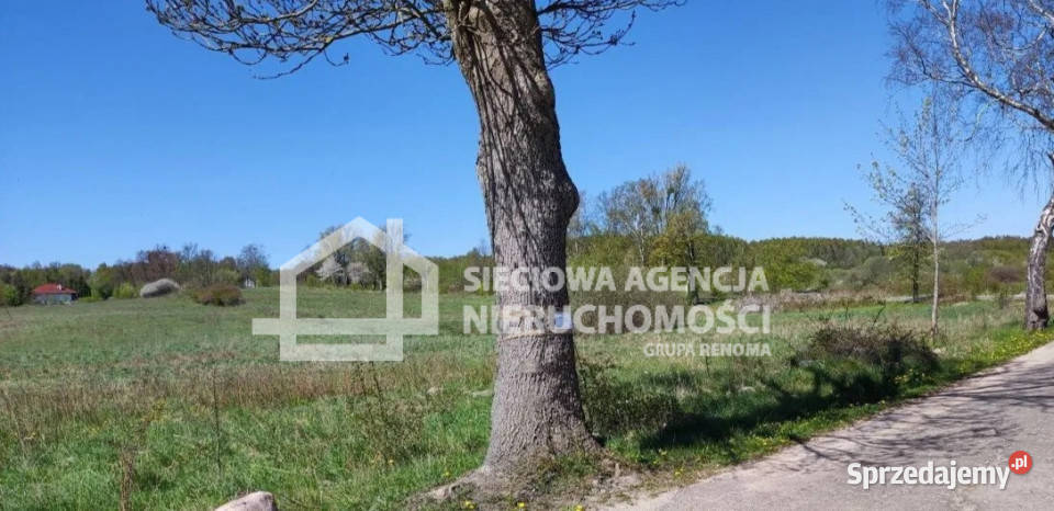 Działka 10005m2 Buszkowy