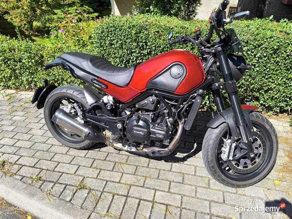 Benelli Leoncino 500 łańcuch Olszyna