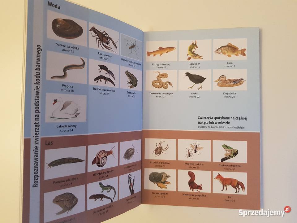 Jakie to zwierzę Mój pierwszy przewodnik Szczecin