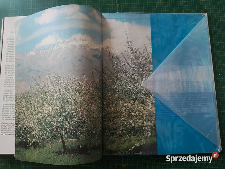 Tashkent j angielski Kraków sprzedam