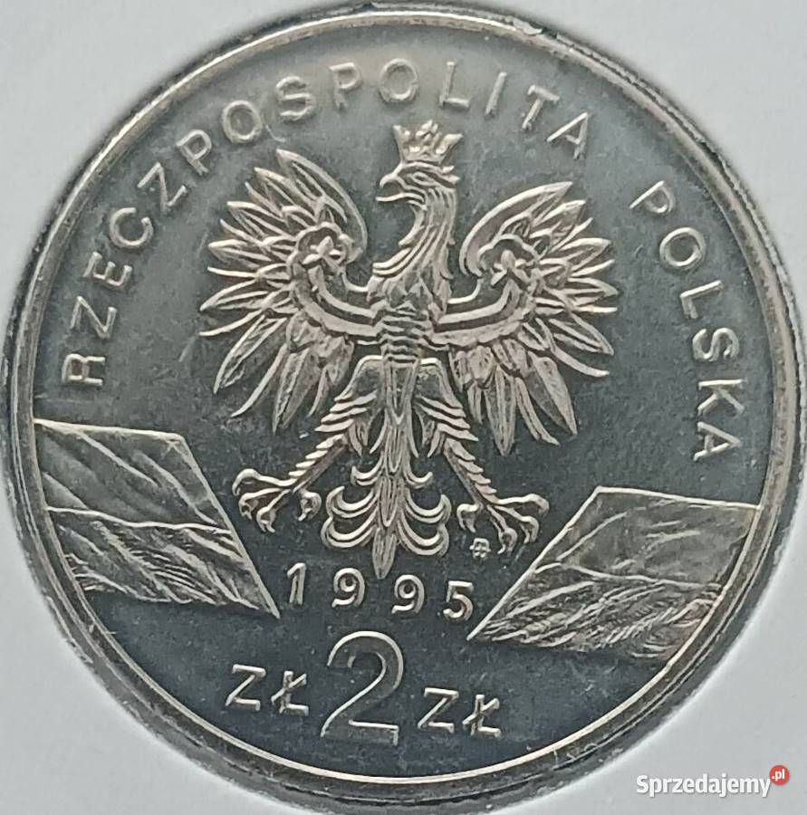 2 Sum 1995 r 1 mennicze holder Kolekcje Konin