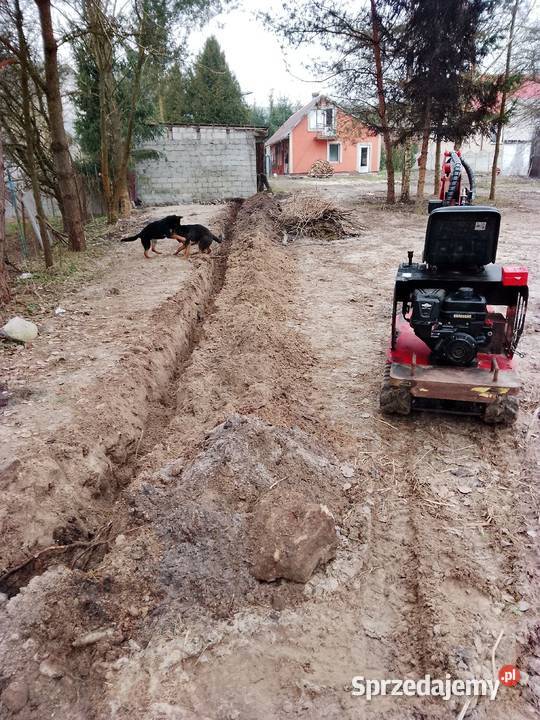 Trawnik glebogryzarka seperacyjna Pozostałe Sędziszów prace ogrodowe