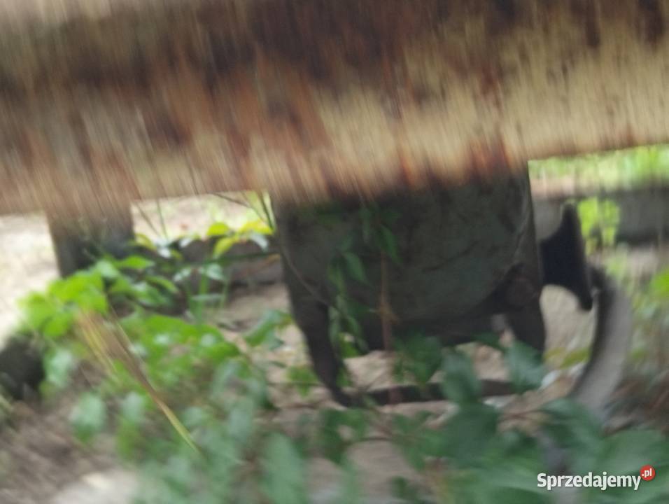 betoniarstwo Łódź