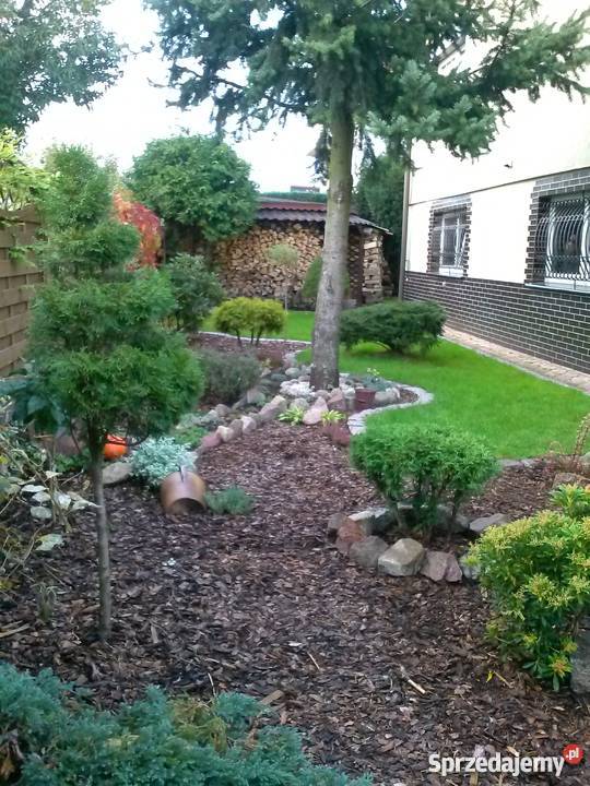 Sprzedam dom w SzczecinieDąbiu