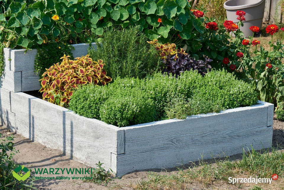 Trwały warzywnik ogrodowy skrzynie na warzywa Rośliny podkarpackie Górno