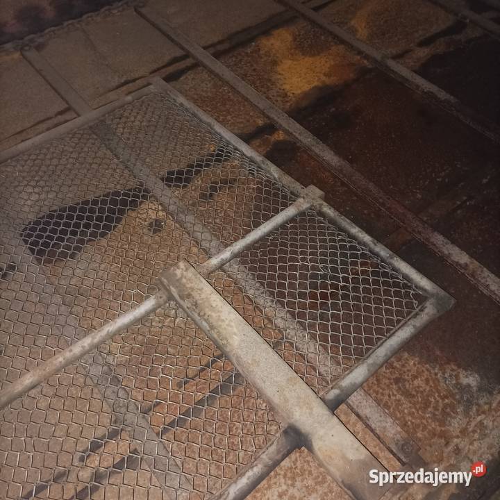 Rozrzutnik Obornika nieuszkodzony Bieganowo