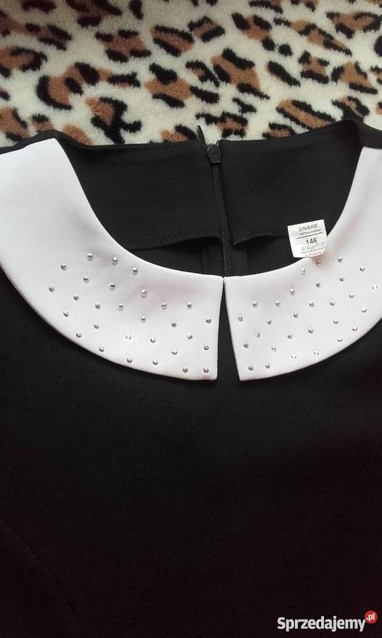 Sukienka na apel i żakiet Trzcińsko-Zdrój