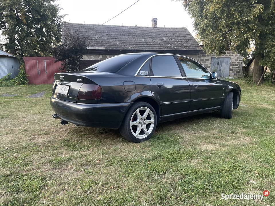 Sprzedam Audi A4 Nowy Jasieniec Iłżecki