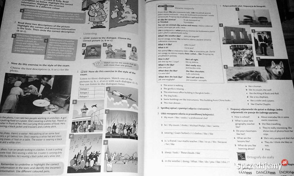 English Explorer 2 Workbook Jane Bailey Arek miękka Chełm