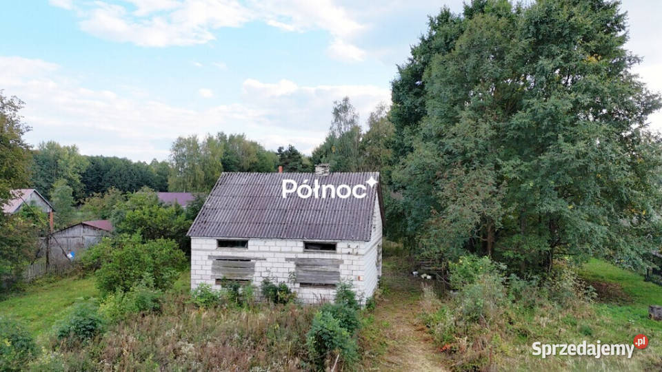 Siedlisko lesie Oseredek gm Susiec asfalt