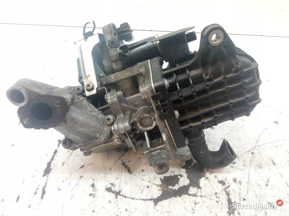 CHŁODNICA SPALIN 9807593080 20 HDI Citroen C4 sprzedam