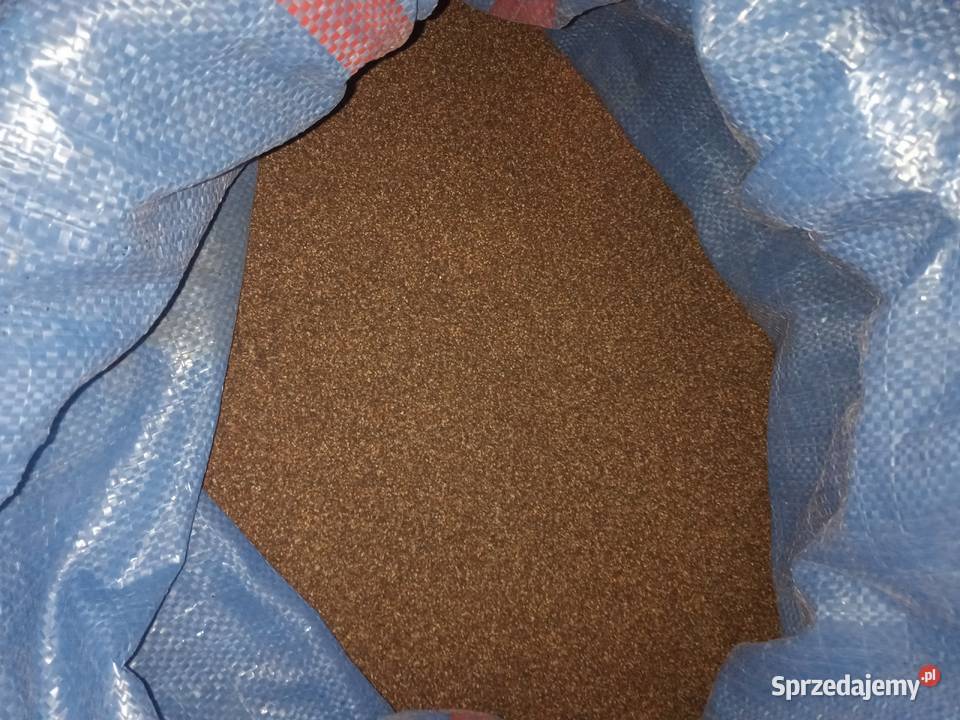 Nasiona tymianku lubelskie