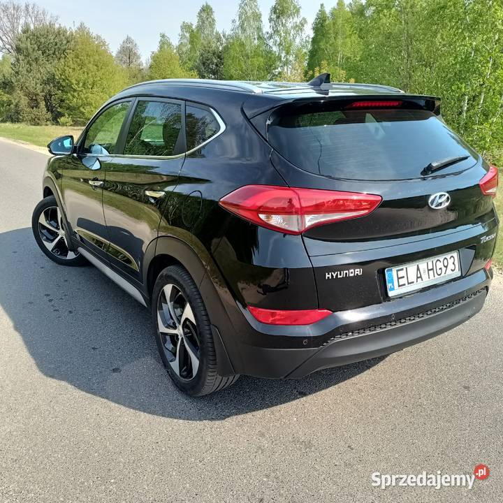 Hyundai Korzeń