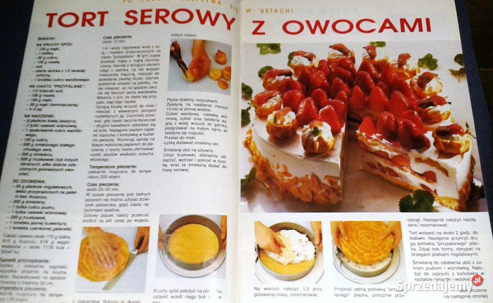 Ciasta domowe mojej kuchni 311993 Rok wydania 1993 Chełm sprzedam