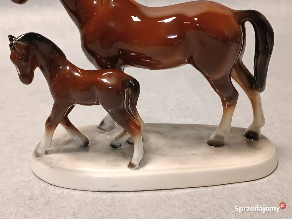 Hertwig Konie Kolekcjonerska Klacz i Źrebię Gdańsk