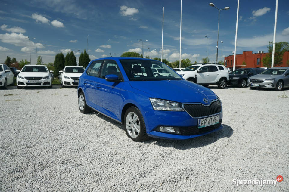 Skoda Fabia 10 TSI95 Ambition Fabia VAN Salon komputer pokładowy Poznań