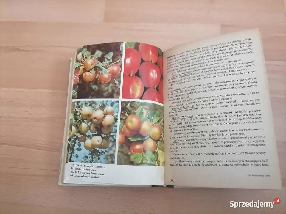 Działka Moje Hobby 1984 Wałbrzych