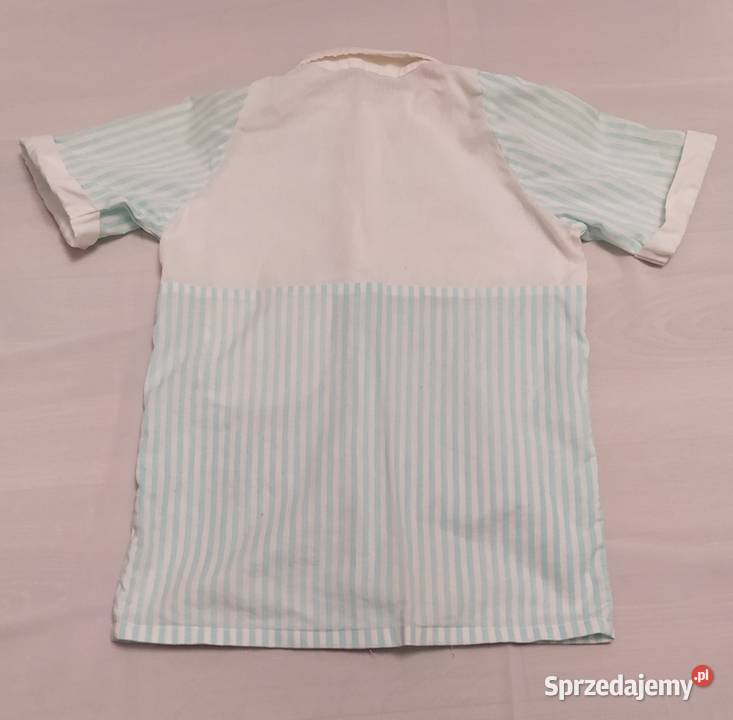 Koszula PASY krótki rękaw niebieski Hajnówka