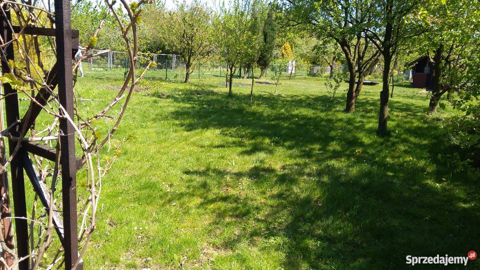 Działka rekreacyjna ROD NADZIEJA prąd woda Lubliniec