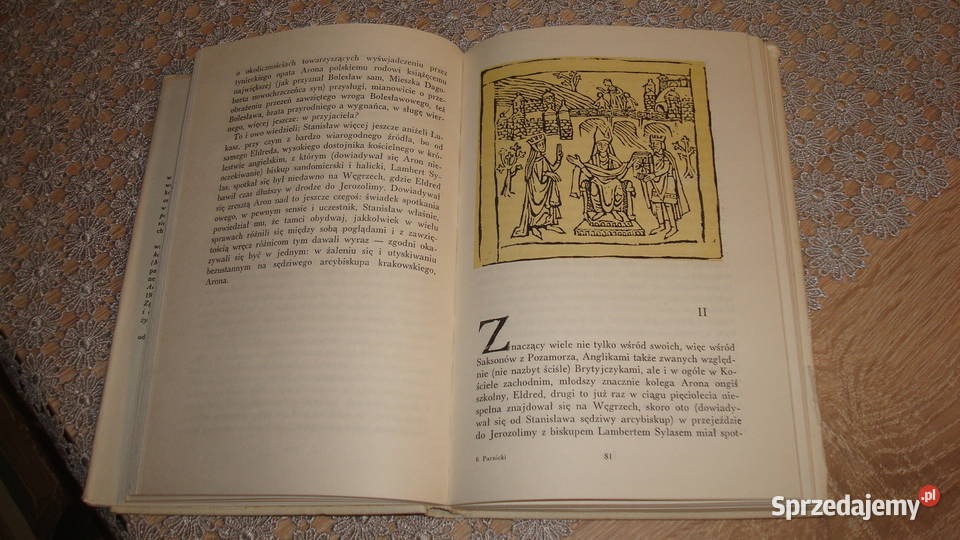 Nowa baśń Parnicki js kujawsko-pomorskie Kruszwica sprzedam