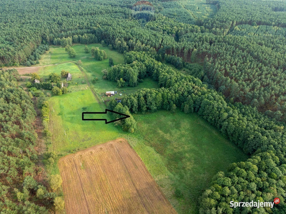 DWZ na 2 domy PąchyMiedzichowo Sprzedaż Sprzedaż Pąchy